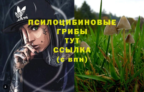 спиды Верхний Тагил