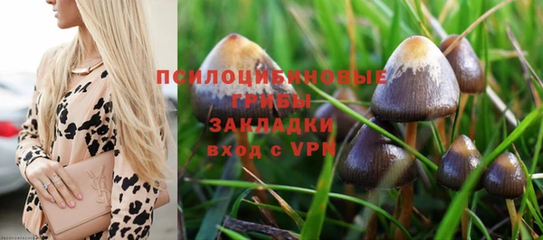 винт Бородино